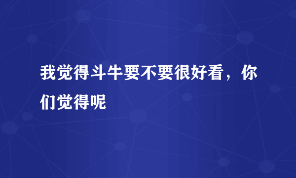 我觉得斗牛要不要很好看，你们觉得呢