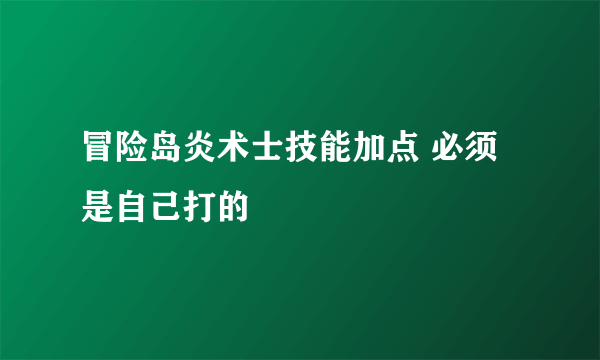 冒险岛炎术士技能加点 必须是自己打的