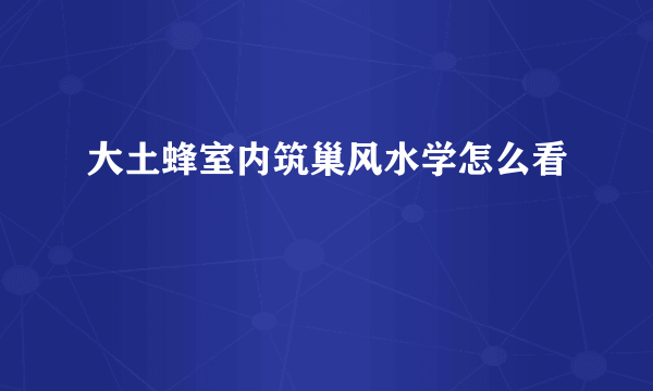 大土蜂室内筑巢风水学怎么看