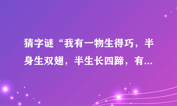 猜字谜“我有一物生得巧，半身生双翅，半生长四蹄，有蹄跑不快，有翅飞不好”