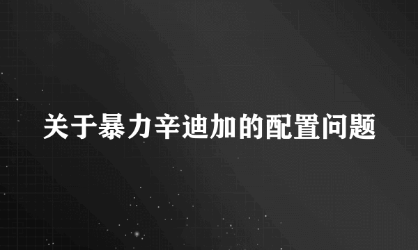 关于暴力辛迪加的配置问题