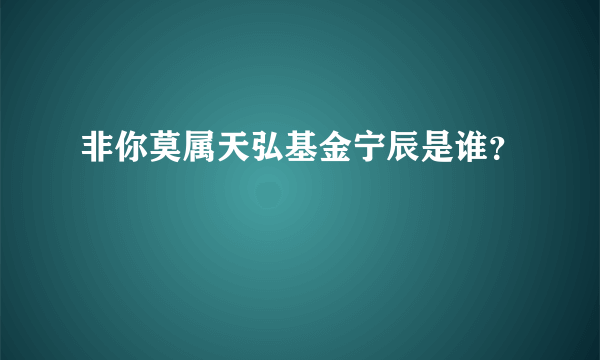 非你莫属天弘基金宁辰是谁？