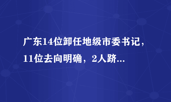 广东14位卸任地级市委书记，11位去向明确，2人跻身省部级