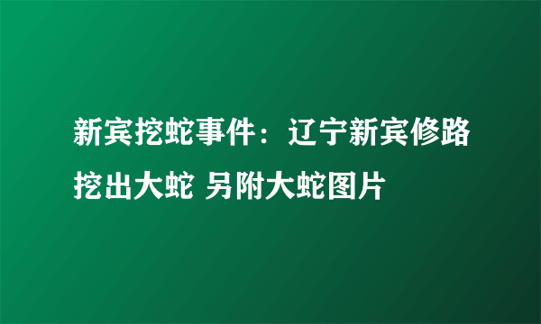 新宾挖蛇事件：辽宁新宾修路挖出大蛇 另附大蛇图片