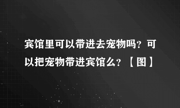 宾馆里可以带进去宠物吗？可以把宠物带进宾馆么？【图】