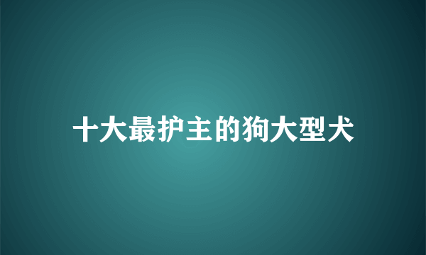 十大最护主的狗大型犬