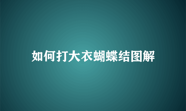 如何打大衣蝴蝶结图解