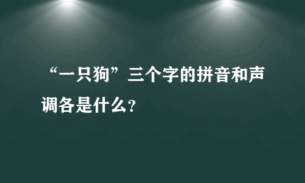 “一只狗”三个字的拼音和声调各是什么？