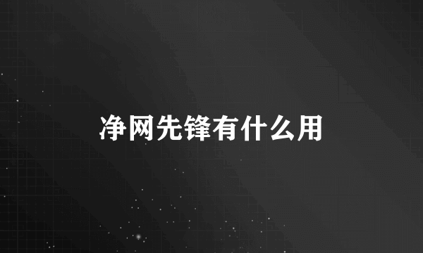 净网先锋有什么用