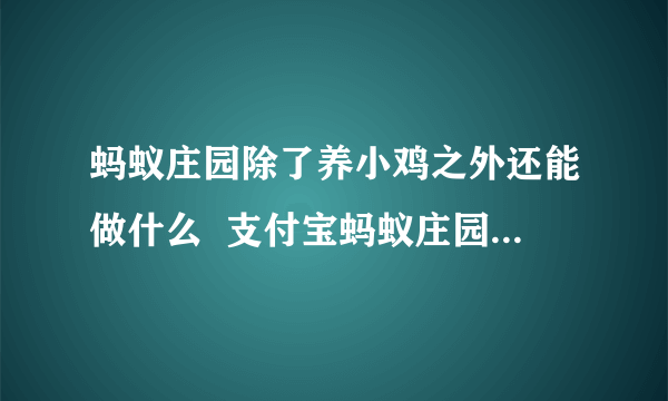 蚂蚁庄园除了养小鸡之外还能做什么  支付宝蚂蚁庄园养鸡的同时还能干嘛