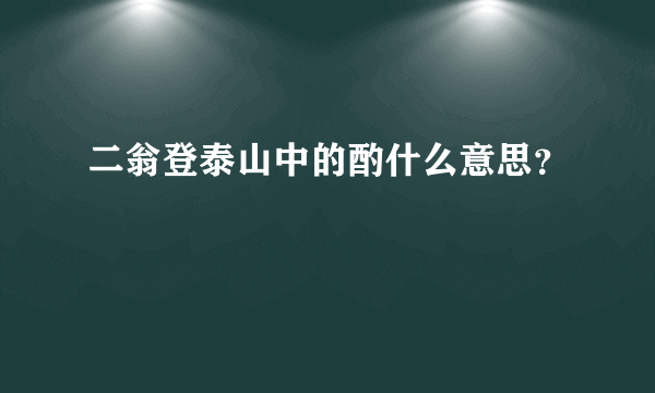 二翁登泰山中的酌什么意思？