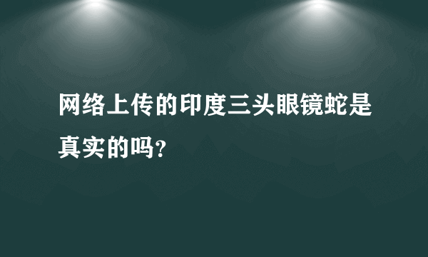 网络上传的印度三头眼镜蛇是真实的吗？