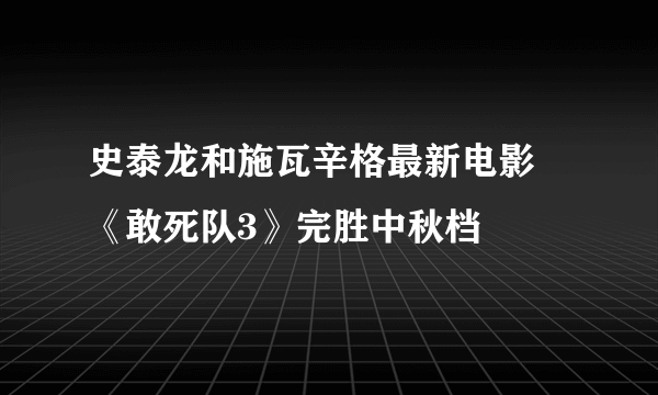 史泰龙和施瓦辛格最新电影 《敢死队3》完胜中秋档