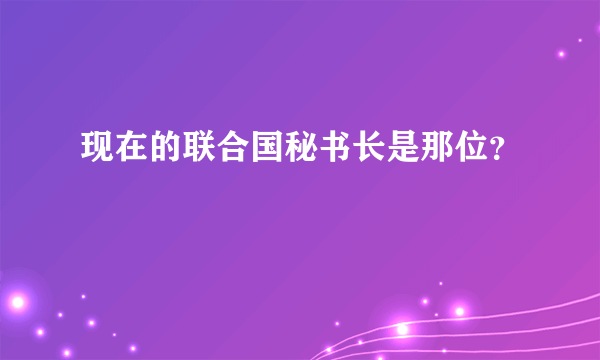 现在的联合国秘书长是那位？