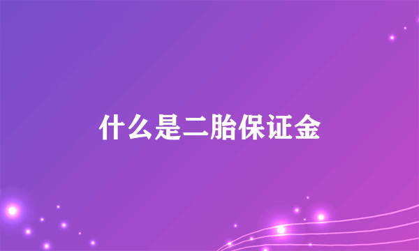 什么是二胎保证金