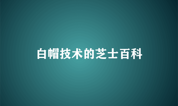 白帽技术的芝士百科