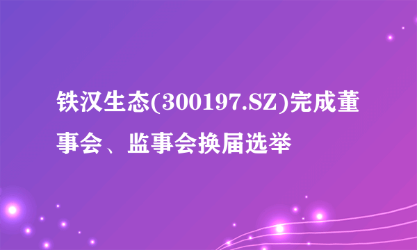 铁汉生态(300197.SZ)完成董事会、监事会换届选举