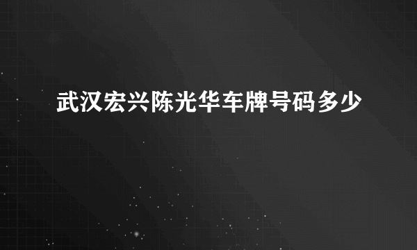 武汉宏兴陈光华车牌号码多少