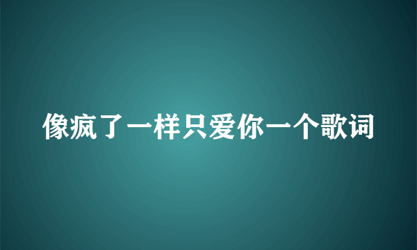 像疯了一样只爱你一个歌词