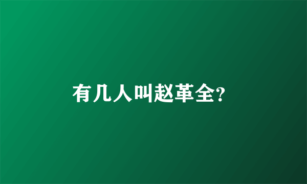 有几人叫赵革全？