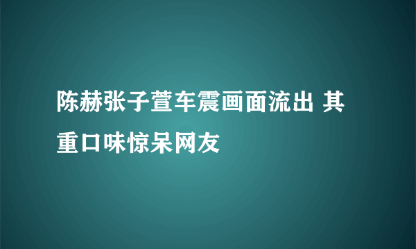 陈赫张子萱车震画面流出 其重口味惊呆网友