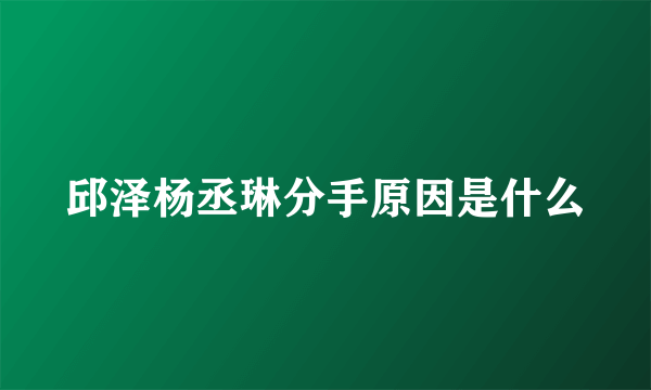 邱泽杨丞琳分手原因是什么