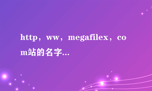 http，ww，megafilex，com站的名字我修改了.现在我打不开了.以前可以的.别的电脑可以我的就不可以？为什么