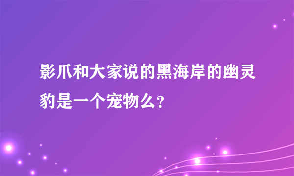 影爪和大家说的黑海岸的幽灵豹是一个宠物么？