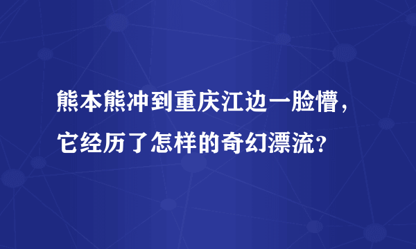 熊本熊冲到重庆江边一脸懵，它经历了怎样的奇幻漂流？