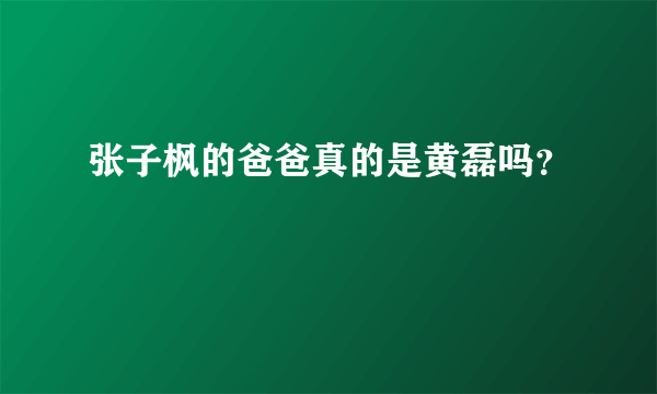 张子枫的爸爸真的是黄磊吗？