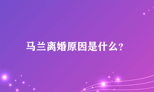 马兰离婚原因是什么？