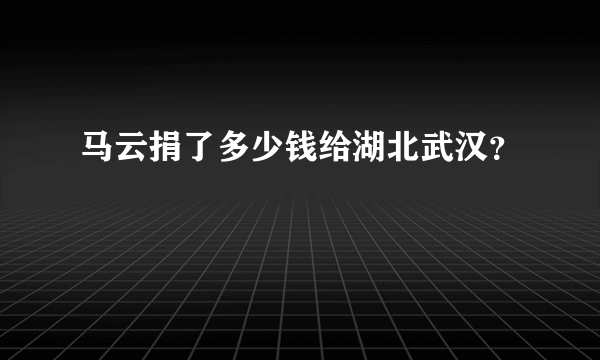 马云捐了多少钱给湖北武汉？