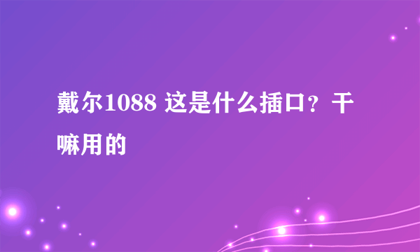 戴尔1088 这是什么插口？干嘛用的