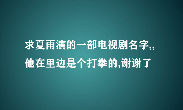 求夏雨演的一部电视剧名字,,他在里边是个打拳的,谢谢了