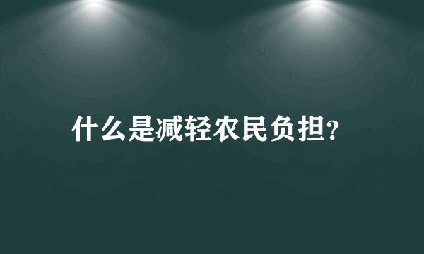 什么是减轻农民负担？