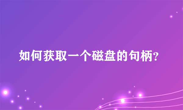 如何获取一个磁盘的句柄？