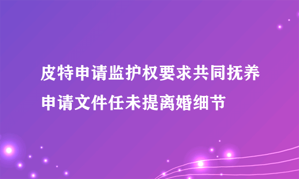 皮特申请监护权要求共同抚养申请文件任未提离婚细节