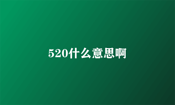 520什么意思啊