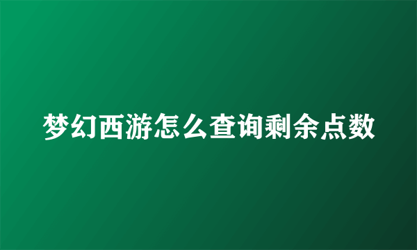 梦幻西游怎么查询剩余点数