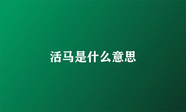 活马是什么意思