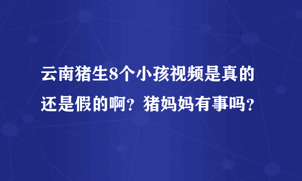 云南猪生8个小孩视频是真的还是假的啊？猪妈妈有事吗？