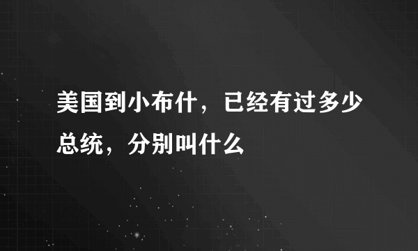 美国到小布什，已经有过多少总统，分别叫什么