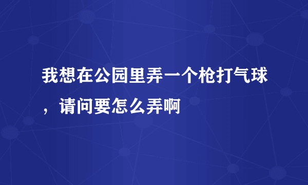 我想在公园里弄一个枪打气球，请问要怎么弄啊