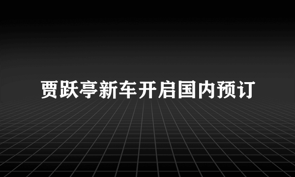 贾跃亭新车开启国内预订