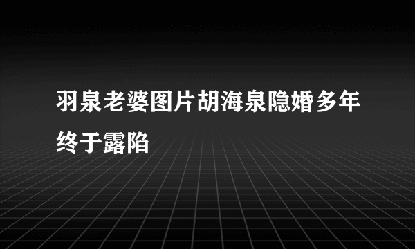 羽泉老婆图片胡海泉隐婚多年终于露陷