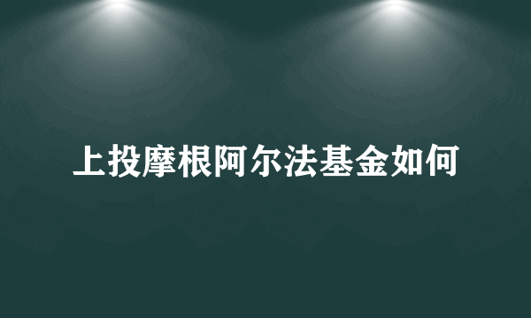 上投摩根阿尔法基金如何