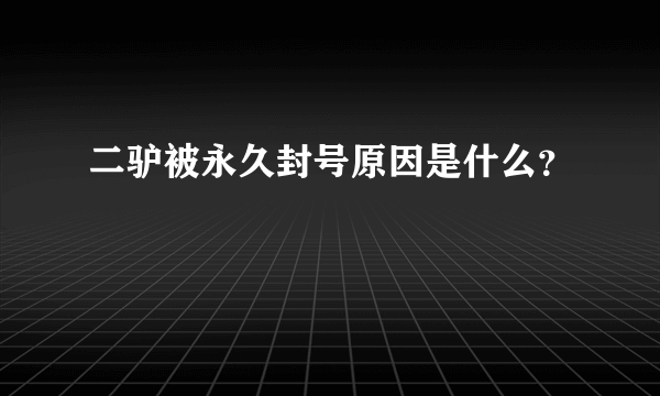 二驴被永久封号原因是什么？