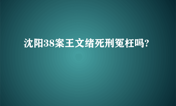 沈阳38案王文绪死刑冤枉吗?