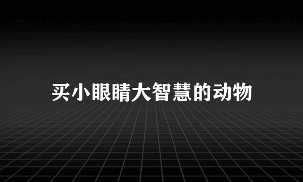 买小眼睛大智慧的动物