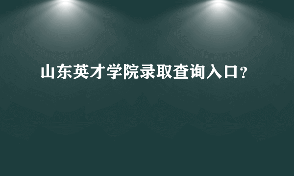 山东英才学院录取查询入口？